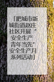 肥城市新城街道赵庄社区开展“安全生产 青年当先”安全生产月系列活动