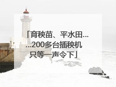 育秧苗、平水田……200多台插秧机只等一声令下