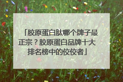 胶原蛋白肽哪个牌子最正宗？胶原蛋白品牌十大排名榜中的佼佼者