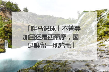 胖马识球丨不管美加墨还是西葡摩，国足唯留一地鸡毛