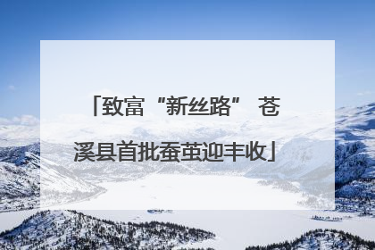 致富“新丝路” 苍溪县首批蚕茧迎丰收