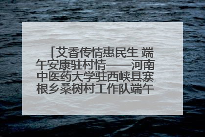 艾香传情惠民生 端午安康驻村情——河南中医药大学驻西峡县寨根乡桑树村工作队端午中医惠民记