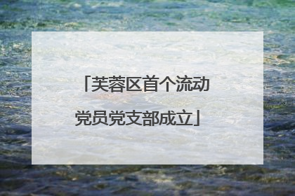 芙蓉区首个流动党员党支部成立