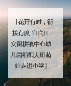 花开有时，衔接有度 宜宾江安留耕镇中心幼儿园组织大班萌娃走进小学