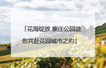 花海绽放 康庄公园邀您共赴花园城市之约