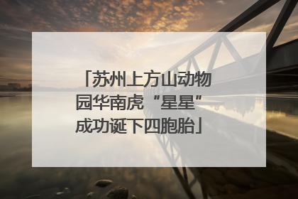 苏州上方山动物园华南虎“星星”成功诞下四胞胎