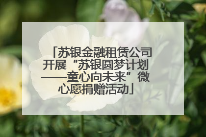 苏银金融租赁公司开展“苏银圆梦计划——童心向未来”微心愿捐赠活动