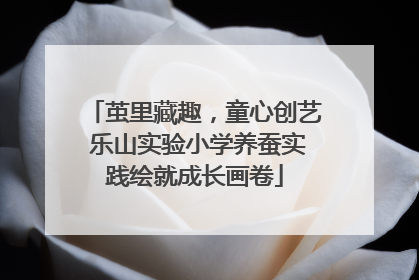 茧里藏趣，童心创艺 乐山实验小学养蚕实践绘就成长画卷