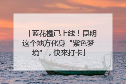 蓝花楹已上线！昆明这个地方化身“紫色梦境”，快来打卡