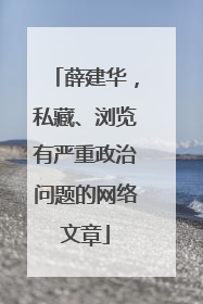 薛建华，私藏、浏览有严重政治问题的网络文章
