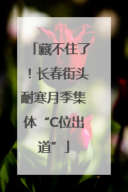 藏不住了！长春街头耐寒月季集体“C位出道”