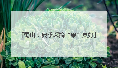 蜀山：夏季采摘“果”真好