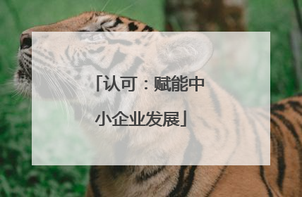认可：赋能中小企业发展
