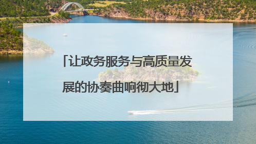 让政务服务与高质量发展的协奏曲响彻大地