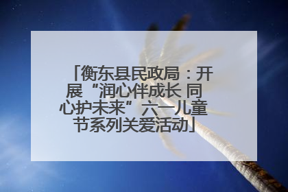 衡东县民政局：开展“润心伴成长 同心护未来”六一儿童节系列关爱活动