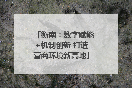 衡南：数字赋能+机制创新 打造营商环境新高地