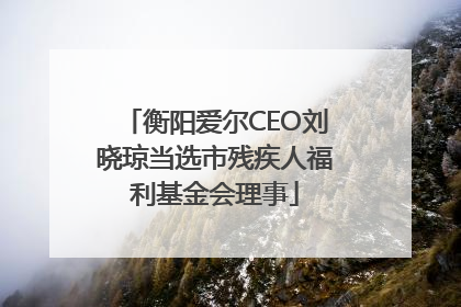 衡阳爱尔CEO刘晓琼当选市残疾人福利基金会理事