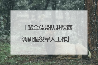 裴金佳带队赴陕西调研退役军人工作