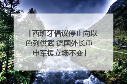 西班牙倡议停止向以色列供武 德国外长重申军援立场不变