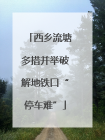西乡流塘多措并举破解地铁口“停车难”