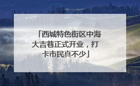 西城特色街区中海大吉巷正式开业，打卡市民真不少