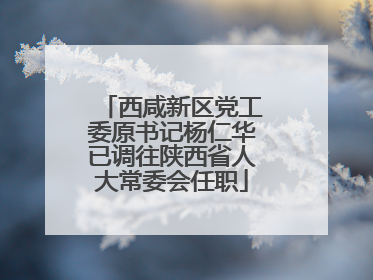 西咸新区党工委原书记杨仁华已调往陕西省人大常委会任职