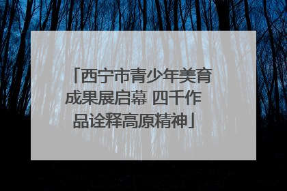 西宁市青少年美育成果展启幕 四千作品诠释高原精神