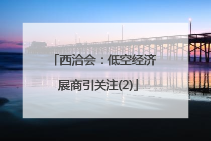 西洽会：低空经济展商引关注(2)