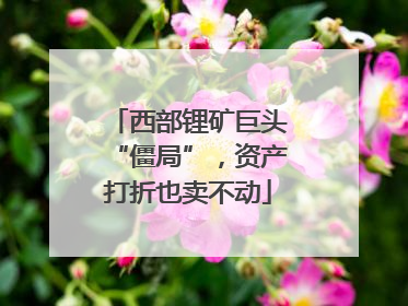 西部锂矿巨头“僵局”，资产打折也卖不动