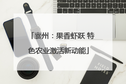 襄州：果香虾跃 特色农业激活新动能