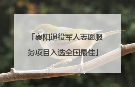 襄阳退役军人志愿服务项目入选全国最佳