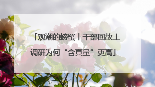 观潮的螃蟹丨干部回故土调研为何“含真量”更高