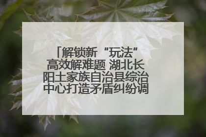 解锁新“玩法” 高效解难题 湖北长阳土家族自治县综治中心打造矛盾纠纷调处“终点站”