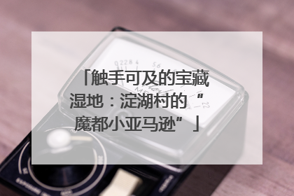 触手可及的宝藏湿地：淀湖村的“魔都小亚马逊”