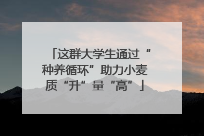 这群大学生通过“种养循环”助力小麦质“升”量“高”