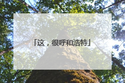 这，很呼和浩特
