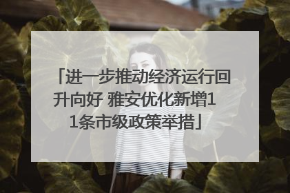 进一步推动经济运行回升向好 雅安优化新增11条市级政策举措