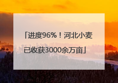 进度96%！河北小麦已收获3000余万亩