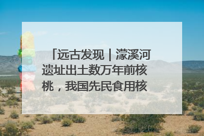 远古发现｜濛溪河遗址出土数万年前核桃，我国先民食用核桃历史大幅提前