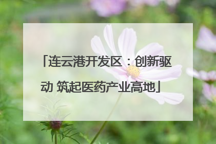 连云港开发区：创新驱动 筑起医药产业高地