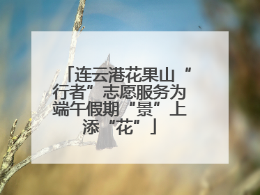 连云港花果山“行者”志愿服务为端午假期“景”上添“花”