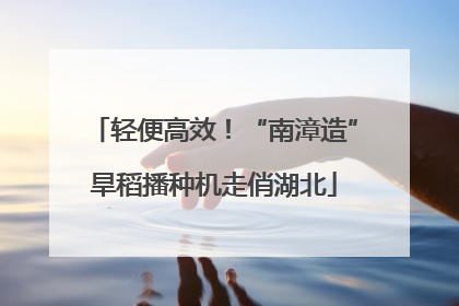 轻便高效！“南漳造”旱稻播种机走俏湖北