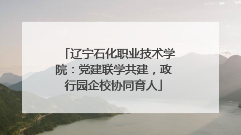 辽宁石化职业技术学院：党建联学共建，政行园企校协同育人