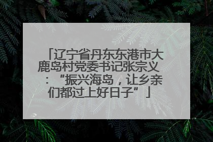 辽宁省丹东东港市大鹿岛村党委书记张宗义：“振兴海岛，让乡亲们都过上好日子”