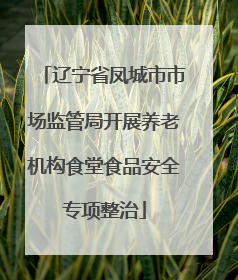 辽宁省凤城市市场监管局开展养老机构食堂食品安全专项整治