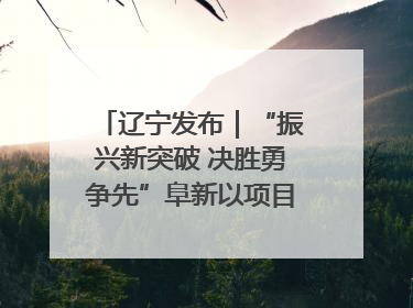 辽宁发布｜“振兴新突破 决胜勇争先”阜新以项目攻坚破解发展瓶颈 经济发展实现良好开局