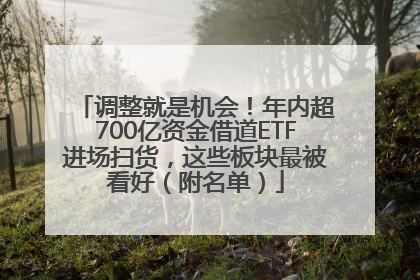 调整就是机会！年内超700亿资金借道ETF进场扫货，这些板块最被看好（附名单）