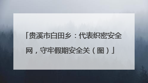 贵溪市白田乡：代表织密安全网，守牢假期安全关（图）