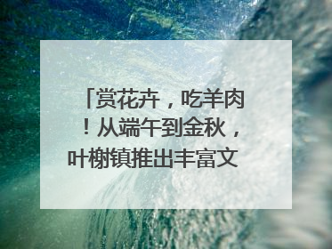 赏花卉，吃羊肉！从端午到金秋，叶榭镇推出丰富文旅活动邀您爽玩