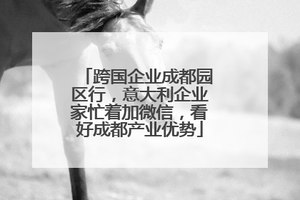 跨国企业成都园区行，意大利企业家忙着加微信，看好成都产业优势